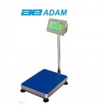 AE-402 Platform Scale