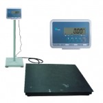 DI-166 Floor Scale